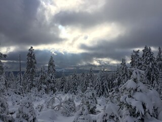 ascending the Brocken in December