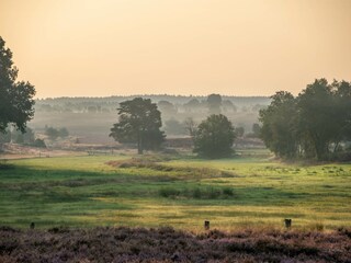 Ferienwohnung Undeloh Umgebung 29