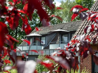 Balkone Appartements Pedalritter + Weltenbummler