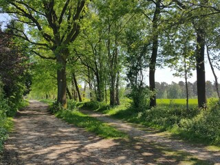 Heidschnucken-Wanderweg vor der Tür