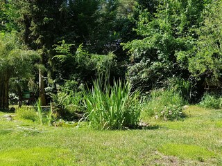 Part of the garden