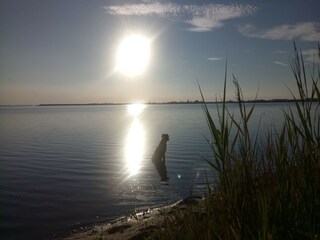 Apartamento Boiensdorf  37