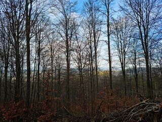 Appartamento Boiensdorf Ambiente 25