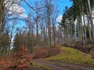 Appartement Boiensdorf Environnement 34