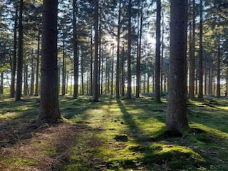 Apartment Boiensdorf Environment 35