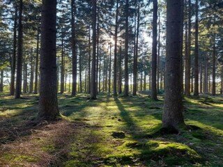 Appartamento Boiensdorf Ambiente 35