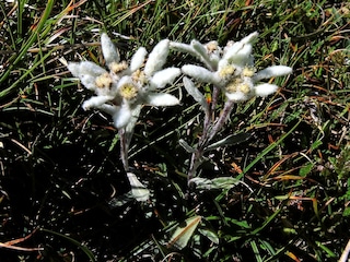 Vakantieappartement Völs am Schlern Omgeving 20