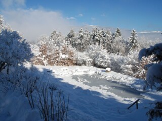 Appartamento per vacanze Völs am Schlern Registrazione all'aperto 12