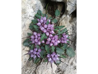 Appartamento per vacanze Völs am Schlern Ambiente 26