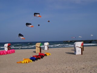 Drachenfliegen im Herbst