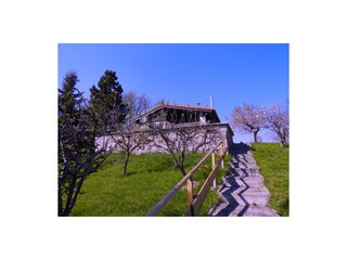 Ferienhaus Wernigerode Außenaufnahme 3