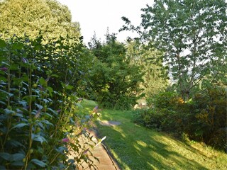 Appartamento Regen Registrazione all'aperto 16