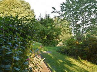 Apartment Regen Outdoor Recording 12