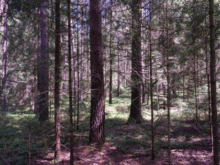 Appartamento Regen Ambiente 32