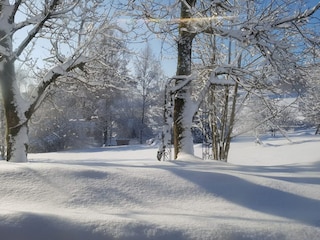 Apartment Regen Outdoor Recording 15