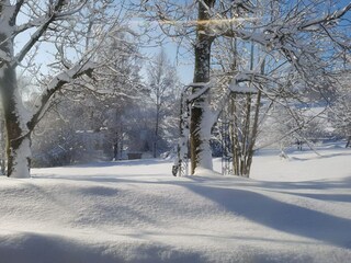 Appartamento Regen Registrazione all'aperto 15