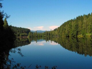 Appartamento Regen Ambiente 33