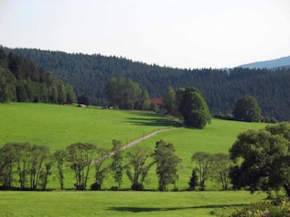 Apartment Regen Umgebung 32