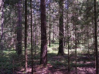 Appartamento Regen Ambiente 35