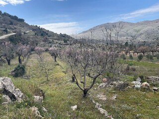 Villa Parcent Entorno 30