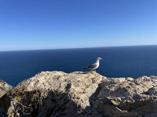 Villa Parcent Omgeving 37