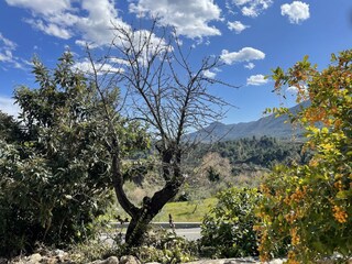 Villa Parcent Environment 32