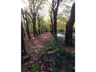 Casa per le vacanze Bergen (Holland) Ambiente 17