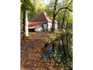 Holiday house Bergen (Holland) Environment 18