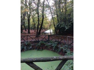 Casa per le vacanze Bergen (Holland) Ambiente 20