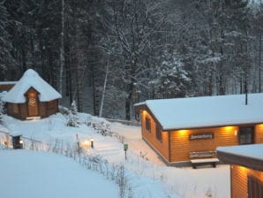 Holiday house Glockenberg - St. Andreasberg - image1