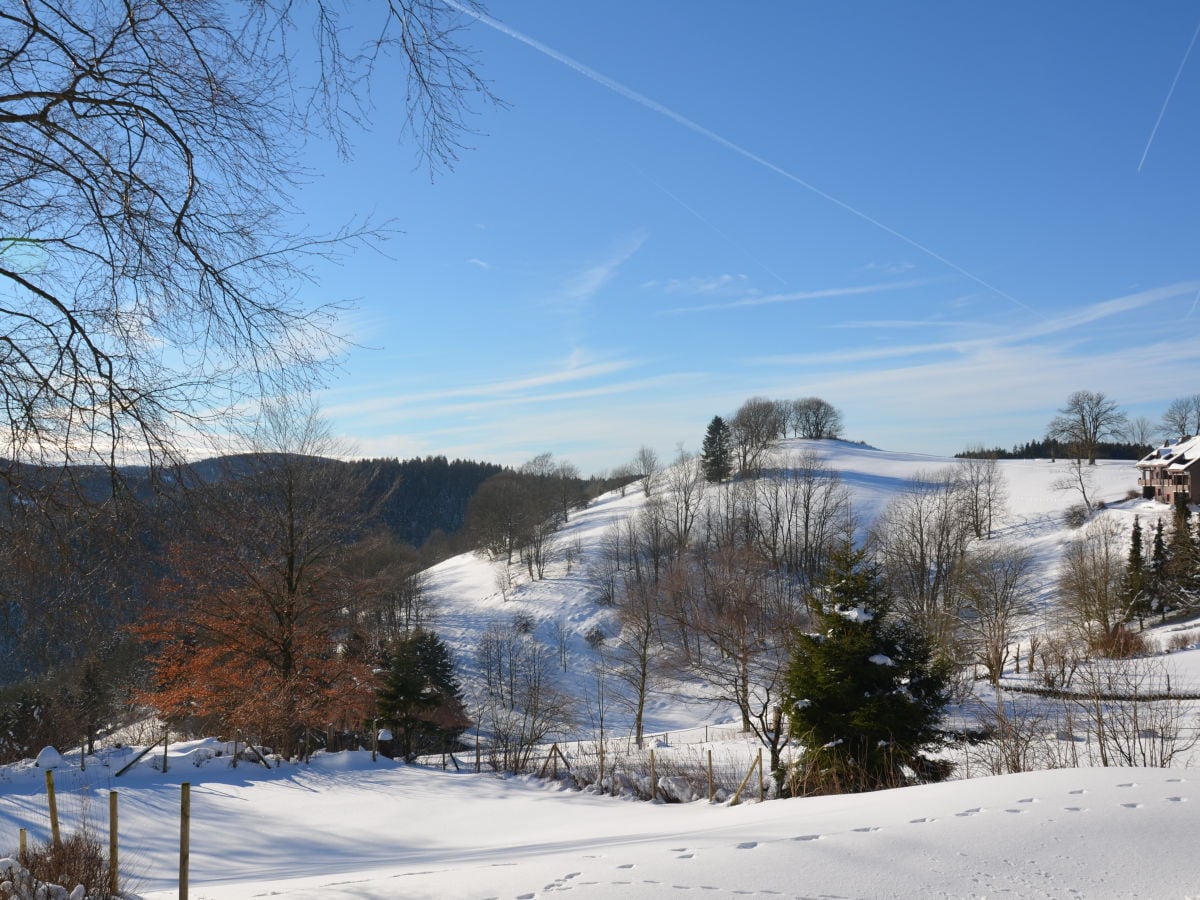 Blick ins Tal vom Haus