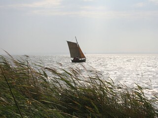 Zeesboot auf dem Bodden