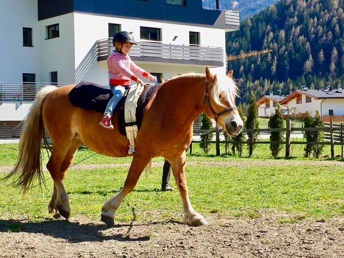 Bauernhof Ratschings Umgebung 14