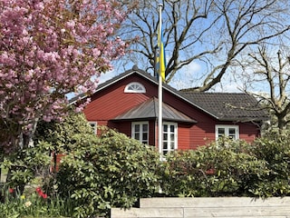 Holiday house Brodersby (Angeln) Outdoor Recording 11