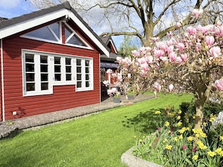 Holiday house Brodersby (Angeln) Outdoor Recording 4