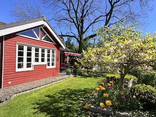 Holiday house Brodersby (Angeln) Outdoor Recording 17