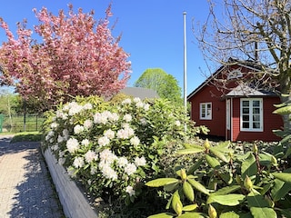 Ferienhaus Brodersby (Angeln) Außenaufnahme 1