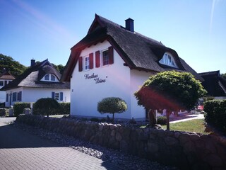 Ferienhaus Koserow Außenaufnahme 2