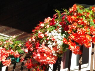 Appartamento per vacanze St. Veit in Defereggen Registrazione all'aperto 5