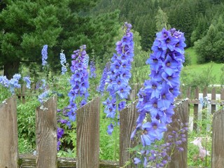 Appartamento per vacanze St. Veit in Defereggen Registrazione all'aperto 10