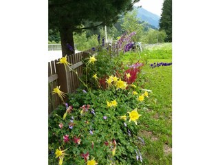 Appartamento per vacanze St. Veit in Defereggen Registrazione all'aperto 12