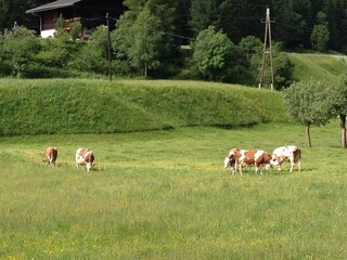 Appartamento per vacanze St. Veit in Defereggen Registrazione all'aperto 13