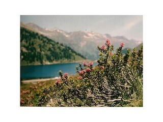 Appartamento per vacanze St. Veit in Defereggen Ambiente 29