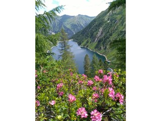 Appartamento per vacanze St. Veit in Defereggen Ambiente 30