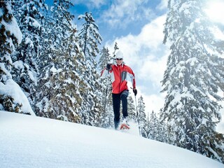 Chalet Wald im Pinzgau Environnement 19