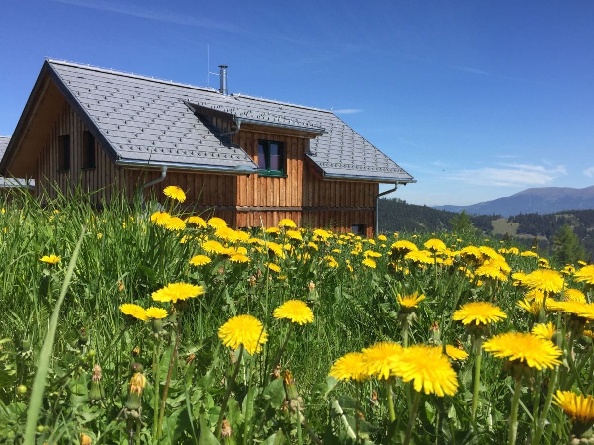 Außenansicht Sommer