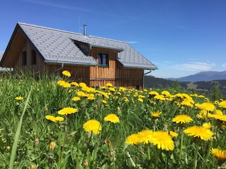 Außenansicht Sommer