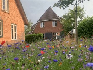 Ferienhaus St. Peter-Ording  47