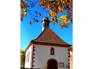 ...herbstlich in Blankenborn