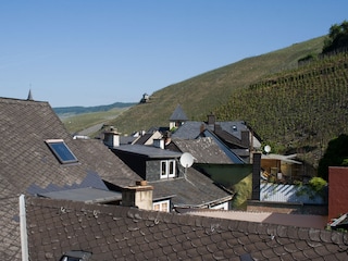 Blick von der Dachterasse schöne Weinberge